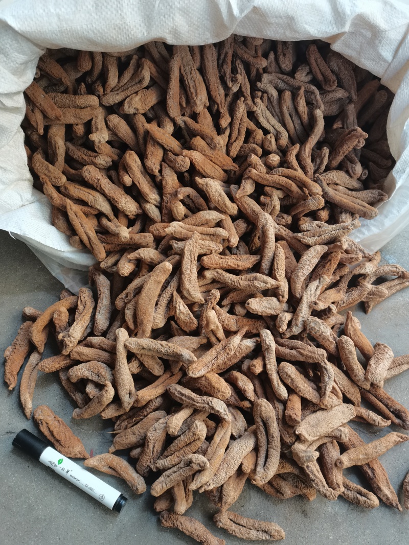 纯干茄参高涨发口感好海茄子海地瓜中号纯干