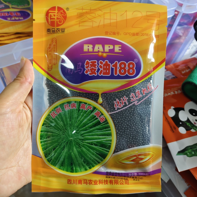南马矮油188油菜籽种子矮杆油菜种子适宜机收抗倒抗病高油