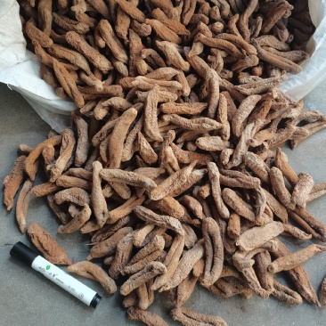 纯干茄参高涨发口感好海茄子海地瓜中号纯干