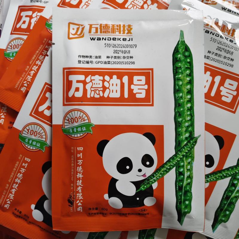 万德科技万德油1号油菜种子产量高抗性好分枝强油菜籽种子