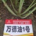 万德科技万德油1号油菜种子产量高抗性好分枝强油菜籽种子