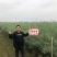 万德科技万德油1号油菜种子产量高抗性好分枝强油菜籽种子
