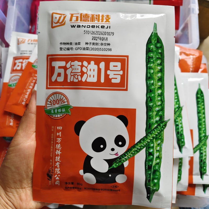 万德科技万德油1号油菜种子产量高抗性好分枝强油菜籽种子