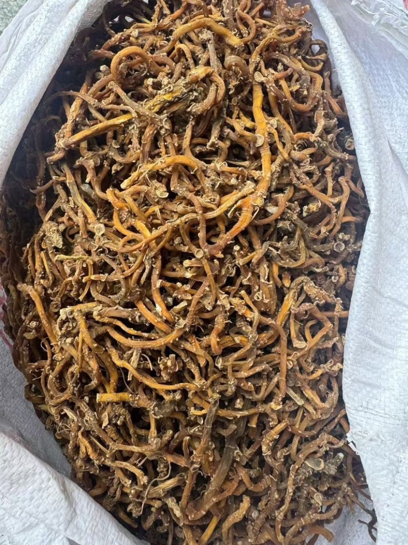 玉竹大条无硫干货无碎山货直播供应大货批发代发玉竹干条稳定