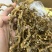 玉竹大条无硫干货无碎山货直播供应大货批发代发玉竹干条稳定