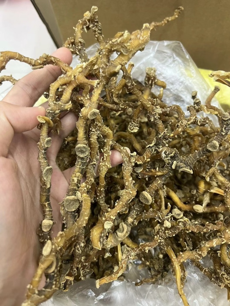 玉竹大条无硫干货无碎山货直播供应大货批发代发玉竹干条稳定