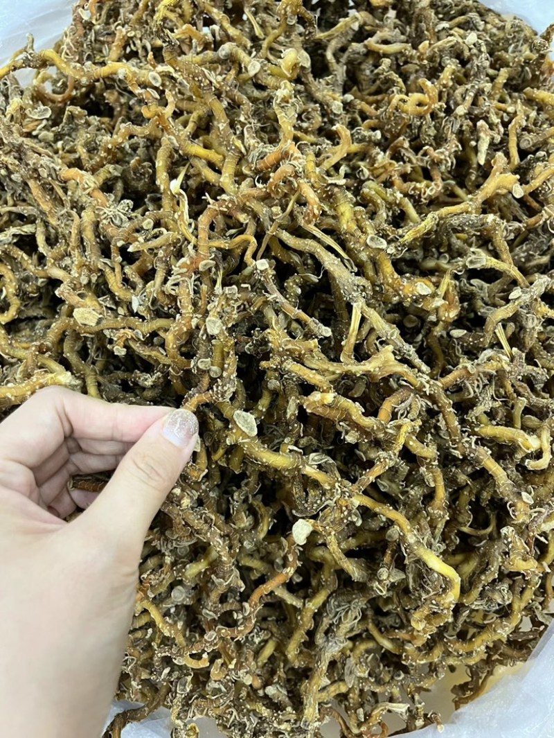 玉竹大条无硫干货无碎山货直播供应大货批发代发玉竹干条稳定