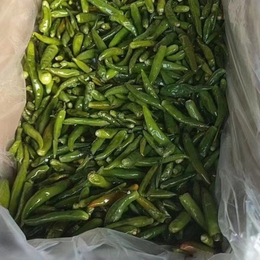 辣椒，河间酱菜厂，所有产品，均可追踪溯源。