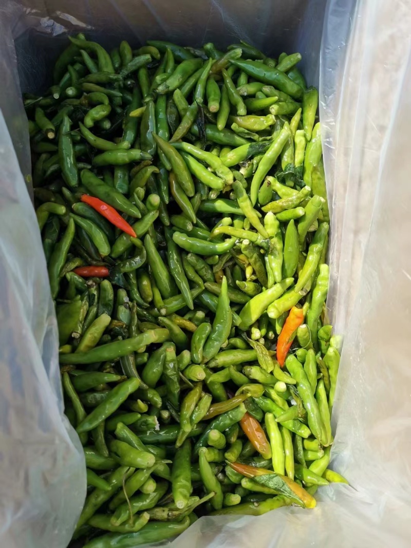 辣椒，河间酱菜厂，所有产品，均可追踪溯源。