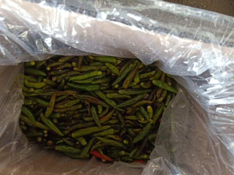 辣椒，河间酱菜厂，所有产品，均可追踪溯源。