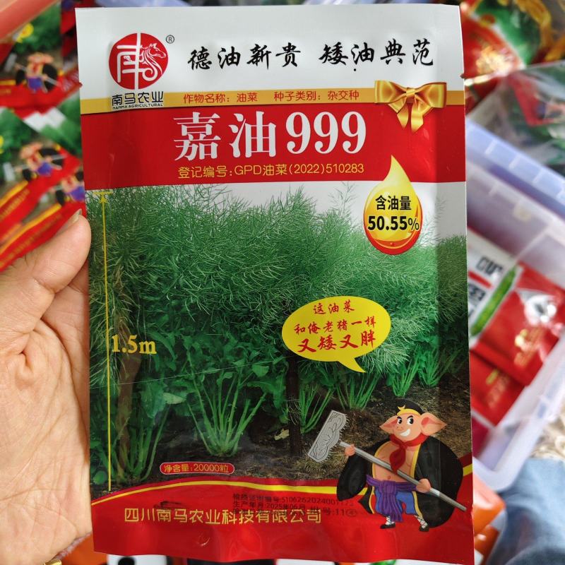 德油新贵矮油典范嘉油999油菜种子含油量50.55%矮杆