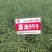 德油新贵矮油典范嘉油999油菜种子含油量50.55%矮杆