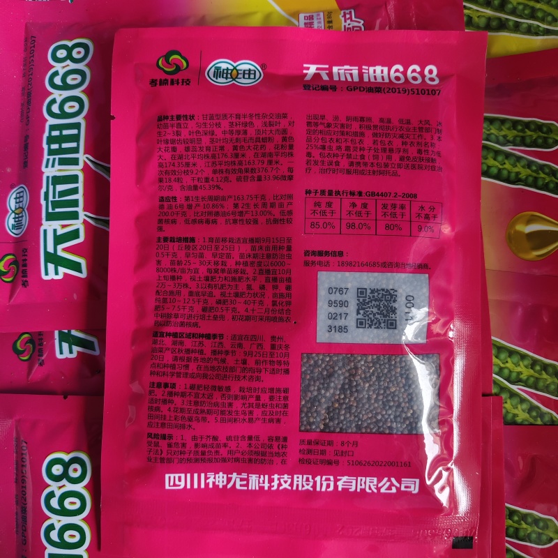 矮油酷999油菜种子矮杆实心杆，高产又高油菜籽种
