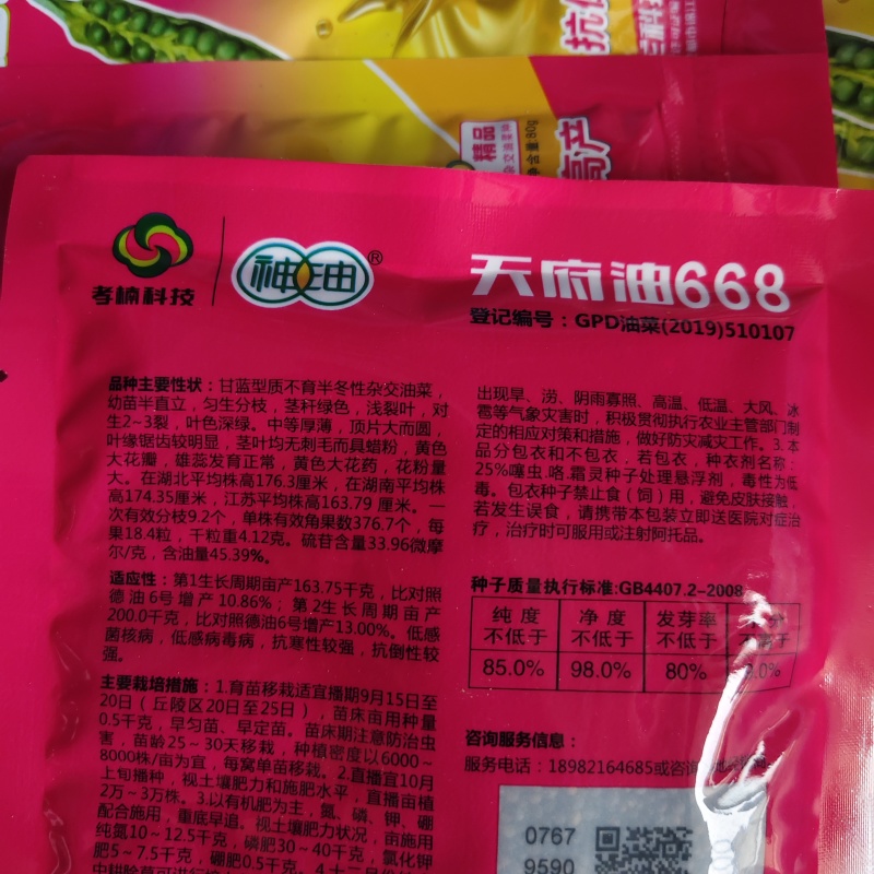 矮油酷999油菜种子矮杆实心杆，高产又高油菜籽种