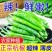 精品大杭椒今日报价质量好品质有保障电商超市各大市场联系