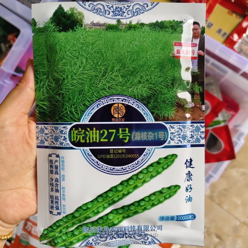 滁核杂1号油菜种子矮杆高产分枝多高含油结荚密榨油菜籽种子
