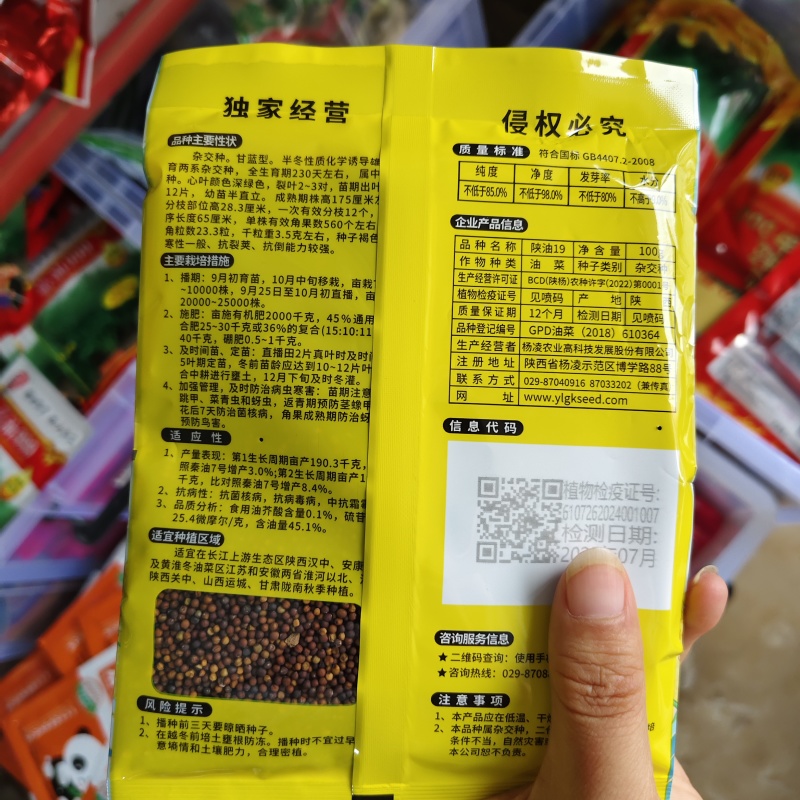 杨凌高科陕油19油菜种子花籽粒榨油香含油量高耐寒油菜籽