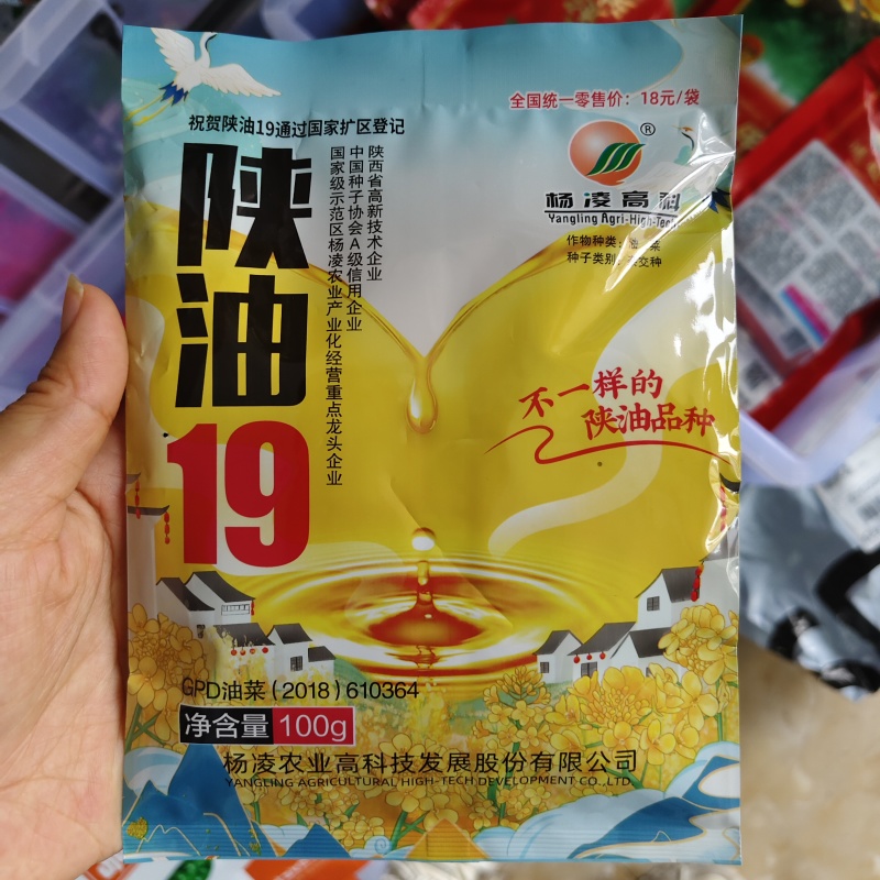 杨凌高科陕油19油菜种子花籽粒榨油香含油量高耐寒油菜籽