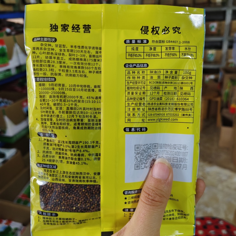 杨凌高科陕油19油菜种子花籽粒榨油香含油量高耐寒油菜籽