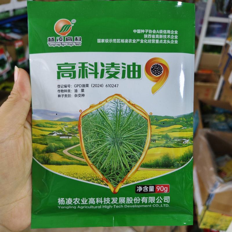 杨凌高科凌油9油菜种子耐寒抗病抗裂抗倒油菜籽种子出油率高