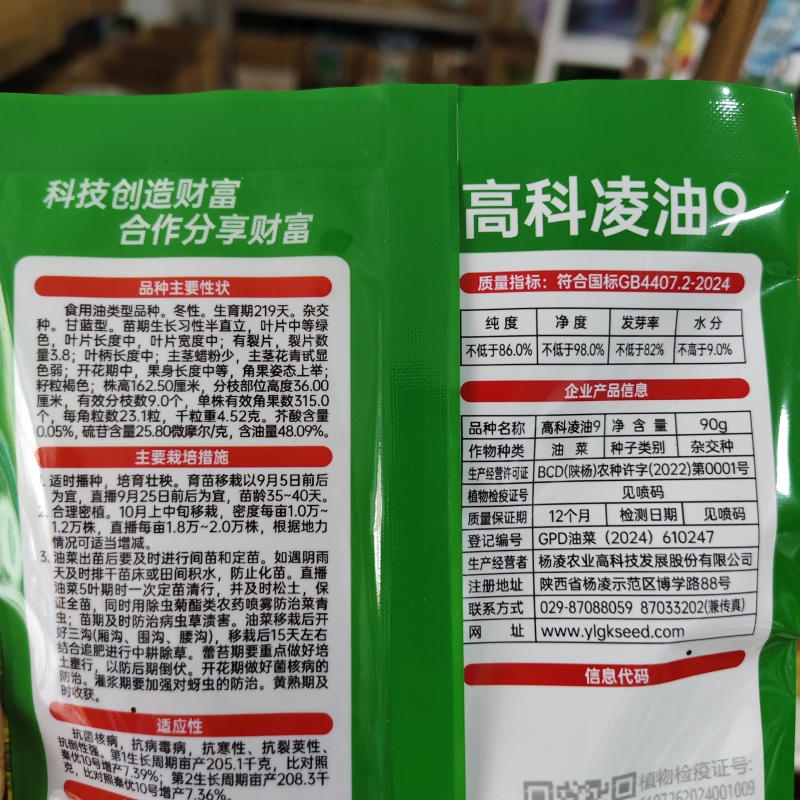 杨凌高科凌油9油菜种子耐寒抗病抗裂抗倒油菜籽种子出油率高