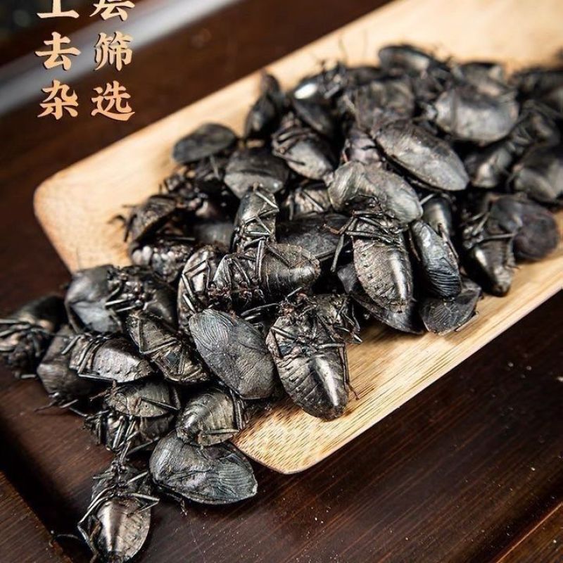 九香虫臭屁虫打屁虫主打野生中药材合作共赢诚信经营