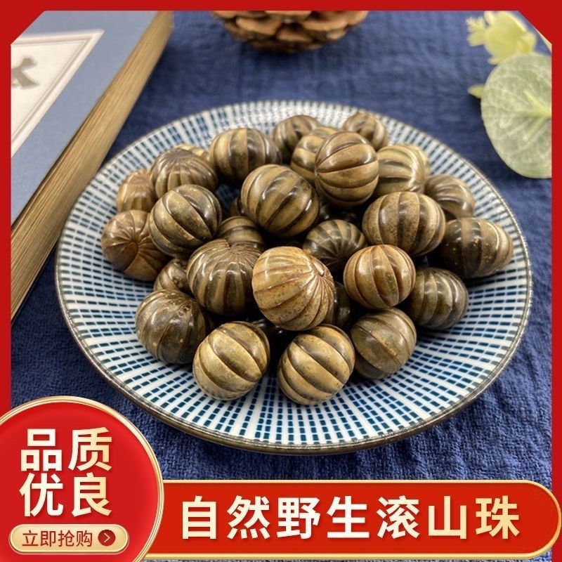 滚山虫滚山珠中药材正品诚信经营中药材合作共赢