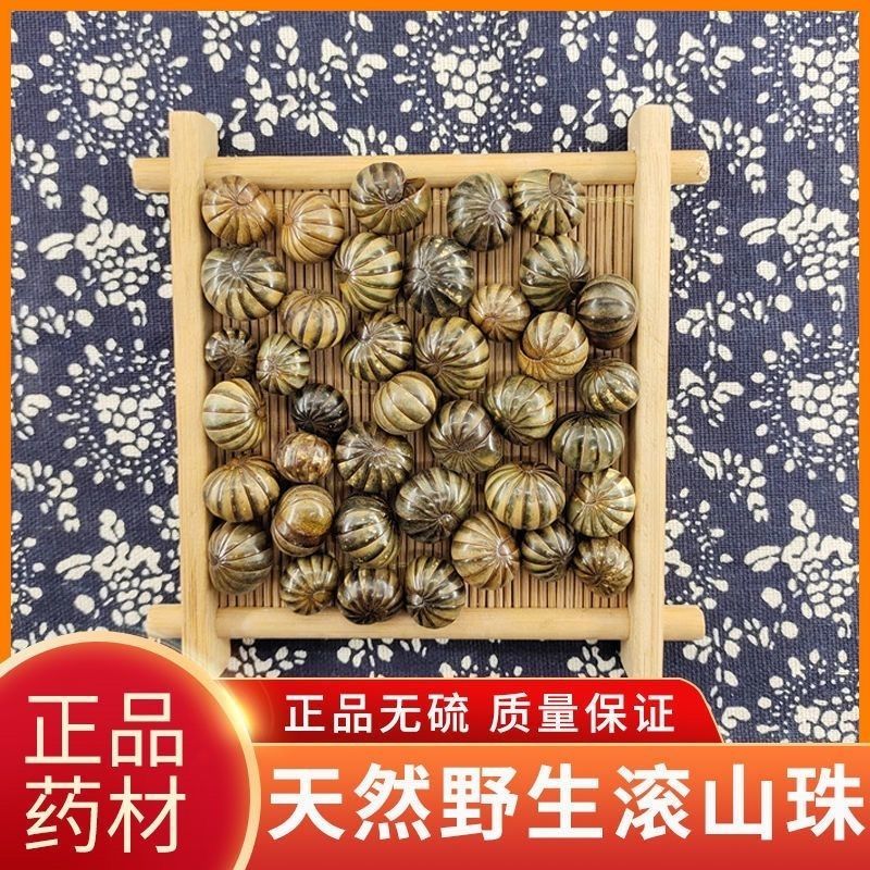 滚山虫滚山珠中药材正品诚信经营中药材合作共赢