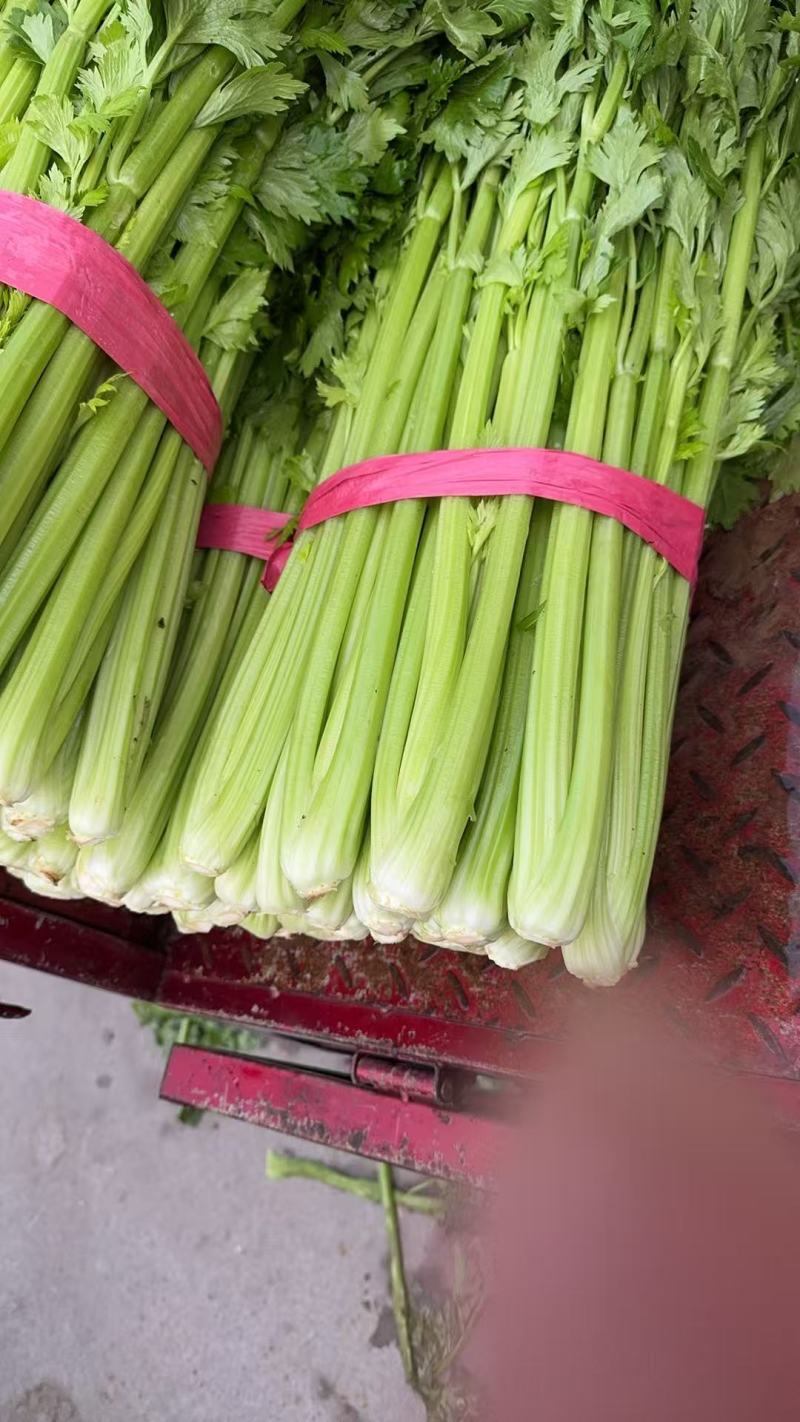 【芹菜】实力店铺精选西芹大量上市现挖现发