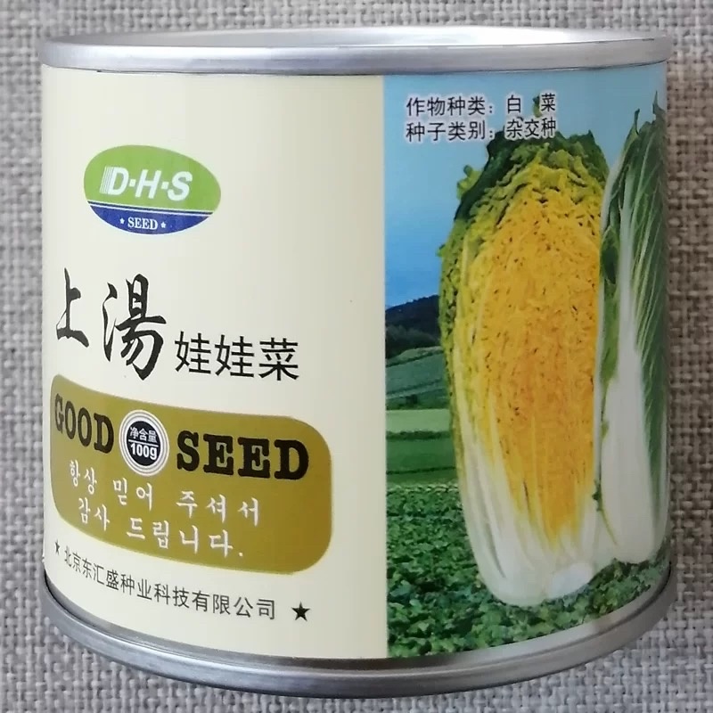上汤娃娃菜种子杂交迷你黄心小白菜娃娃菜种籽内叶金黄
