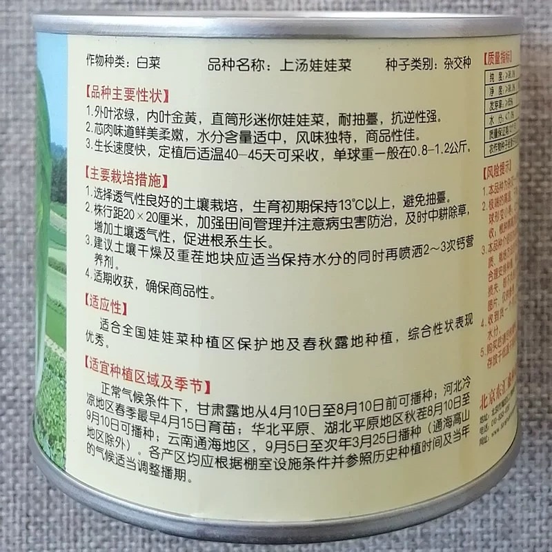 上汤娃娃菜种子杂交迷你黄心小白菜娃娃菜种籽内叶金黄
