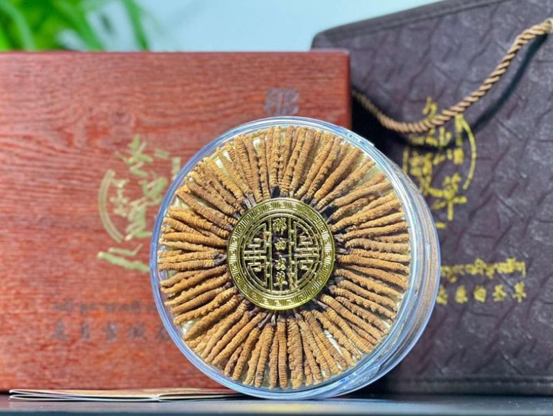 西藏那曲野生冬虫夏草货源充足欢迎随时电话洽谈