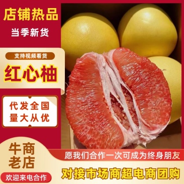 福建平和-红心蜜柚支持各种渠道，可发全国质量三包