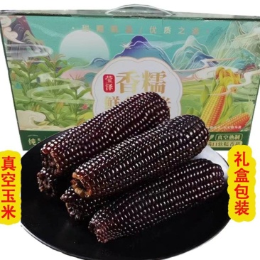 礼品盒礼盒装真空玉米节日员工福利真空黑玉米