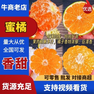 精品蜜橘-湖北高山蜜橘-欢迎订购诚信为本，可大量供应市场