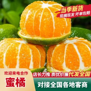 《湖北蜜橘》精品橘子产地直发-大量供应.电商市场商超货源