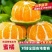 《湖北蜜橘》精品橘子产地直发-大量供应.电商市场商超货源