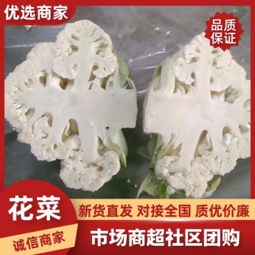 精品菜花有机花菜松花菜花椰菜青梗白面可视频看货