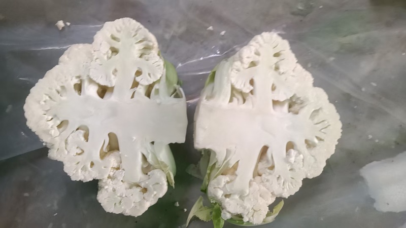 精品菜花有机花菜松花菜花椰菜青梗白面可视频看货