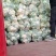 精品菜花有机花菜松花菜花椰菜青梗白面可视频看货