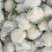 《山东菜花》散花/白花菜花/白面青梗松花菜/产地直发