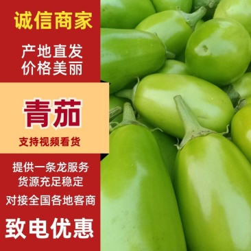 【青茄子】绿把青茄果型好品质高电商商超市场以质论价
