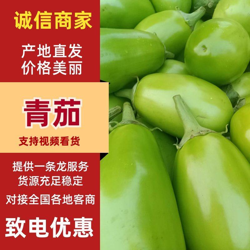 【青茄子】绿把青茄果型好品质高电商商超市场以质论价