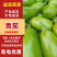 【青茄子】绿把青茄果型好品质高电商商超市场以质论价