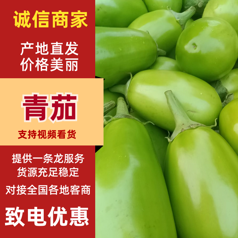 【青茄子】绿把青茄果型好品质高电商商超市场以质论价