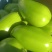 【青茄子】绿把青茄果型好品质高电商商超市场以质论价