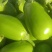 【青茄子】绿把青茄果型好品质高电商商超市场以质论价