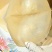 咸海蜇皮