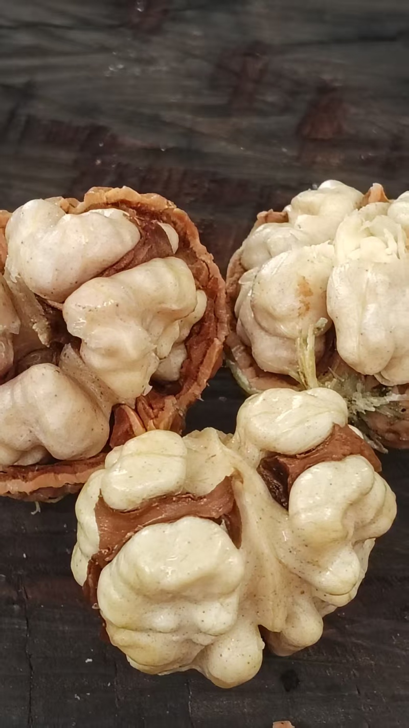 青皮核桃/云南新鲜薄皮核桃/去皮核桃/对接全国采购商