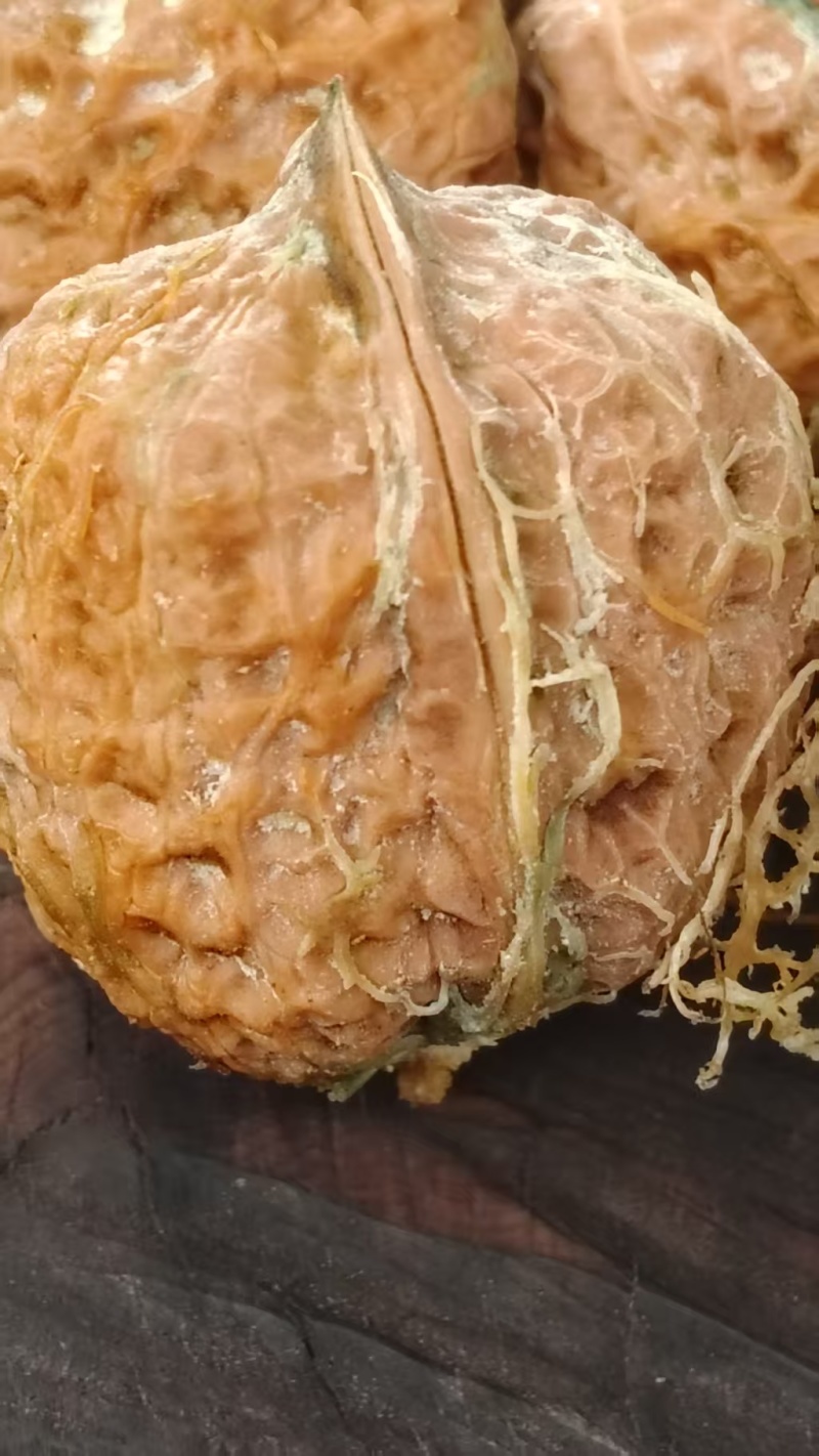 青皮核桃/云南新鲜薄皮核桃/去皮核桃/对接全国采购商